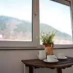 Cozy In 公寓 布拉索夫