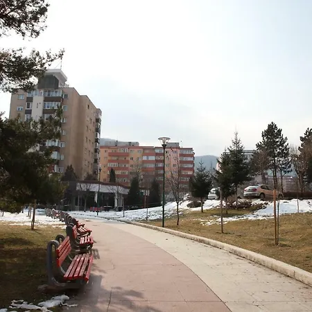 Cozy In Brasov