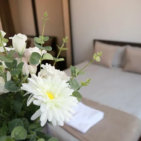 Cozy In * Μπρασόβ