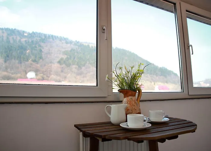 Cozy In Апартаменты Брашов